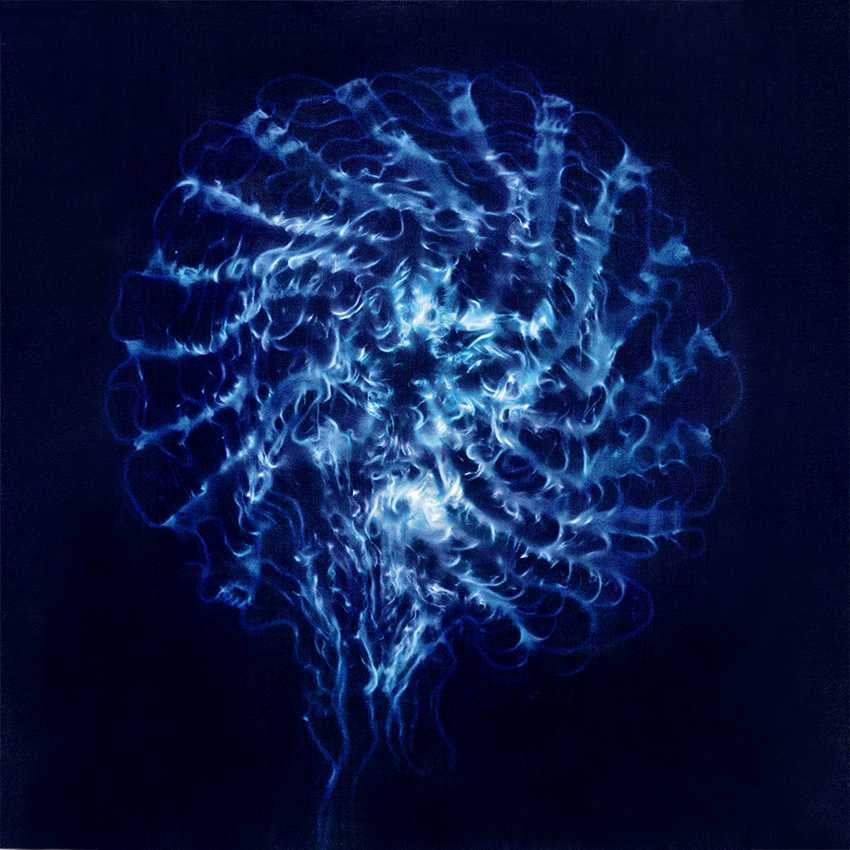 Carolyn Lewens (Australian, b. 1948) 'Filamentous' 2017