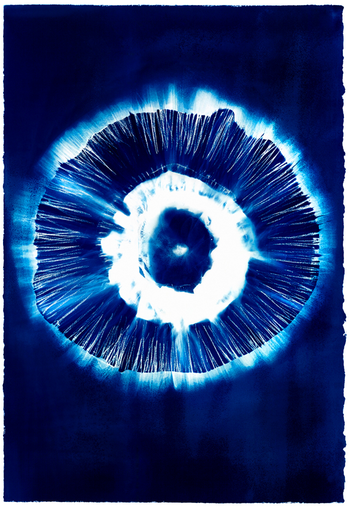 Carolyn Lewens (Australian, b. 1948) 'In the Photic Zone' 2013-2018