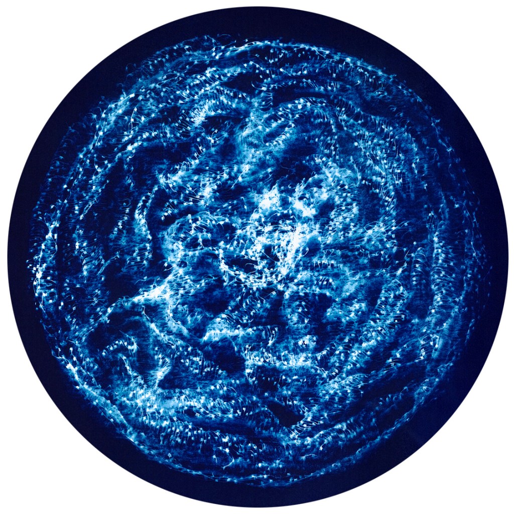 Carolyn Lewens (Australian, b. 1948) 'Light Remnants' 2017