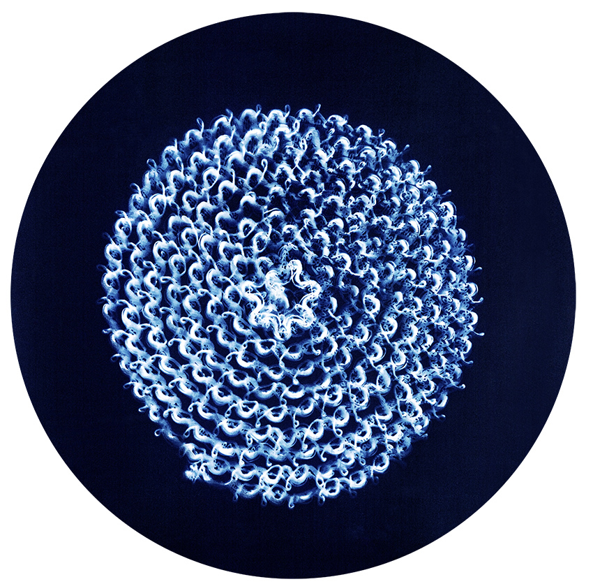 Carolyn Lewens (Australian, b. 1948) 'Naked Retina 8' 2017