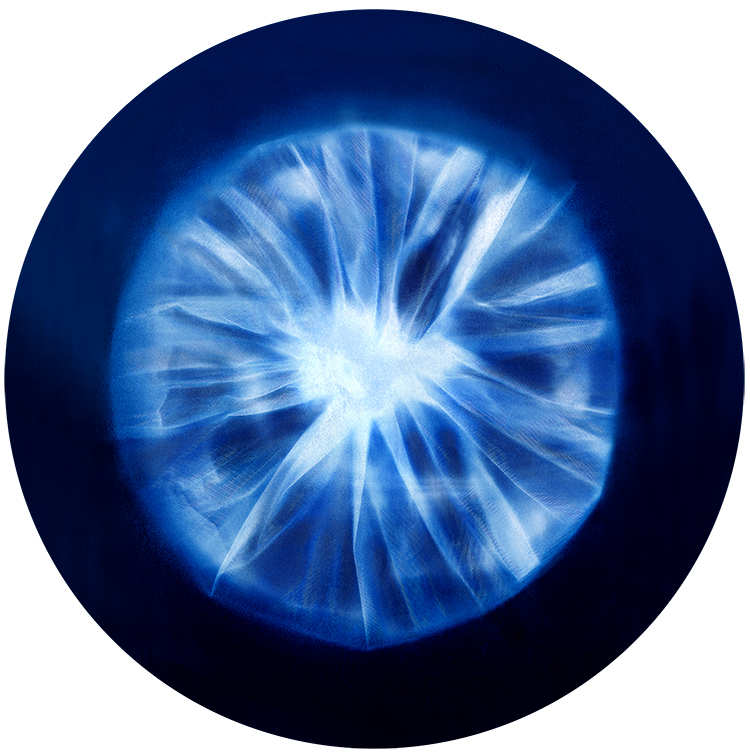 Carolyn Lewens (Australian, b. 1948) 'Naked Retina 9' 2017