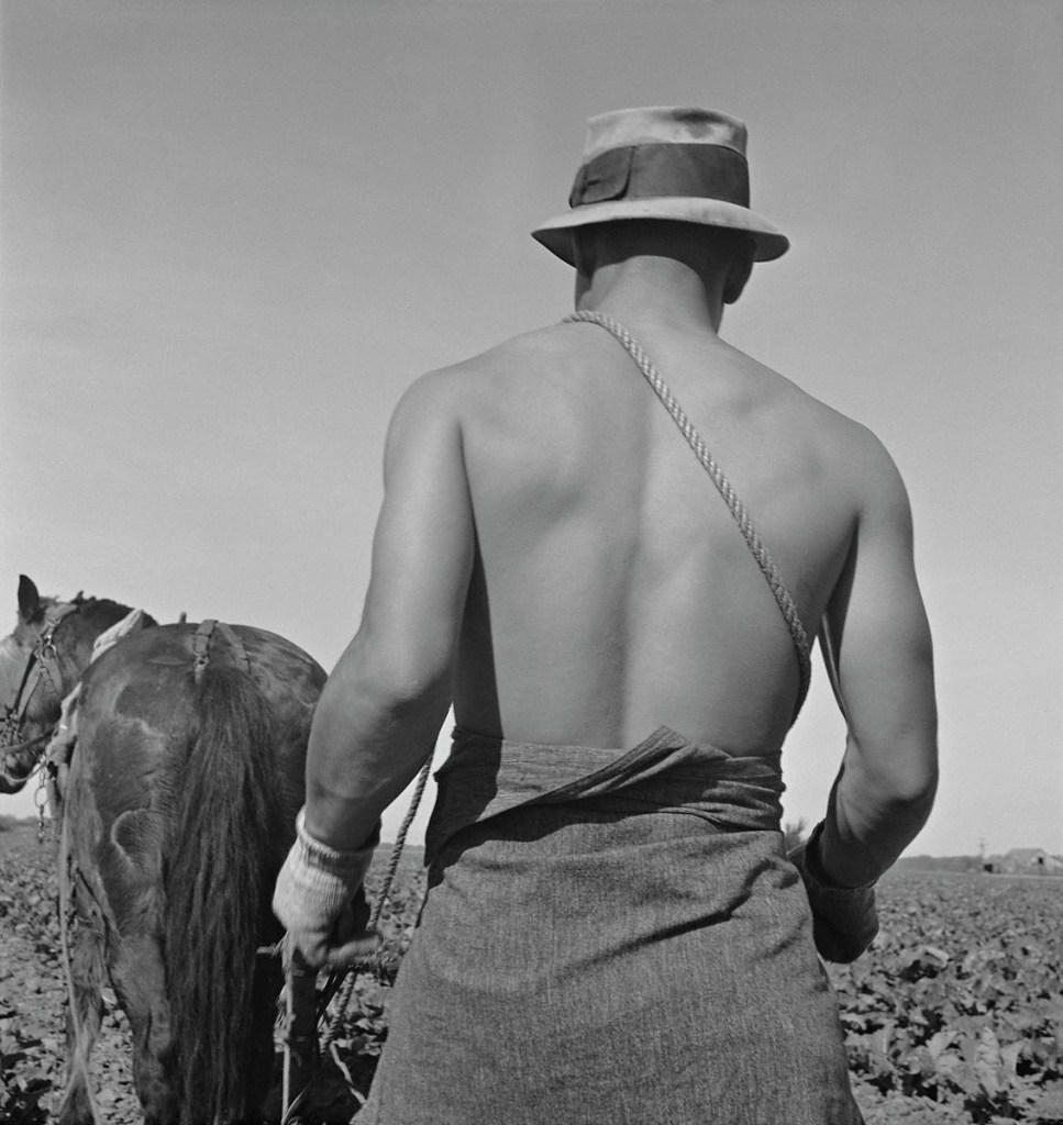 Dorothea Lange (American, 1895-1965) 'Filipino Field Worker, Spring Plowing, Cauliflower Fields, Guadalupe, California' March 1937 Dorothea Lange (American, 1895-1965) 'Filipino Field Worker, Spring Plowing, Cauliflower Fields, Guadalupe, California' March 1937