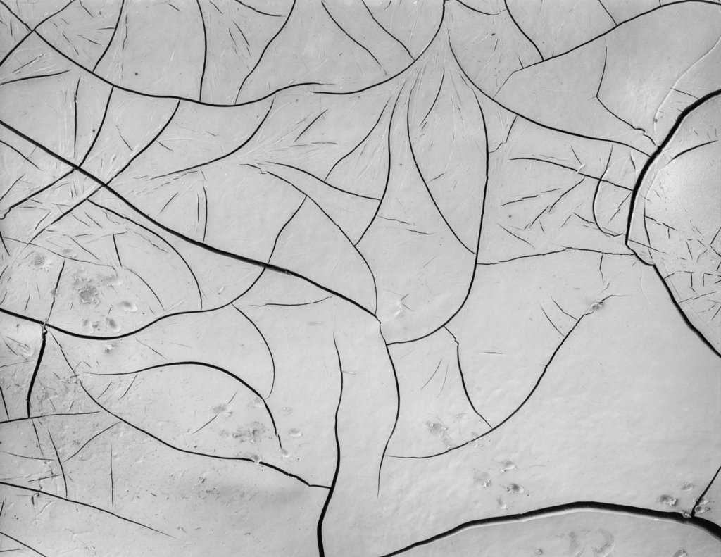 Brett Weston (American, 1911-1993) 'Mud Cracks' 1955 Brett Weston (American, 1911-1993) 'Mud Cracks' 1955