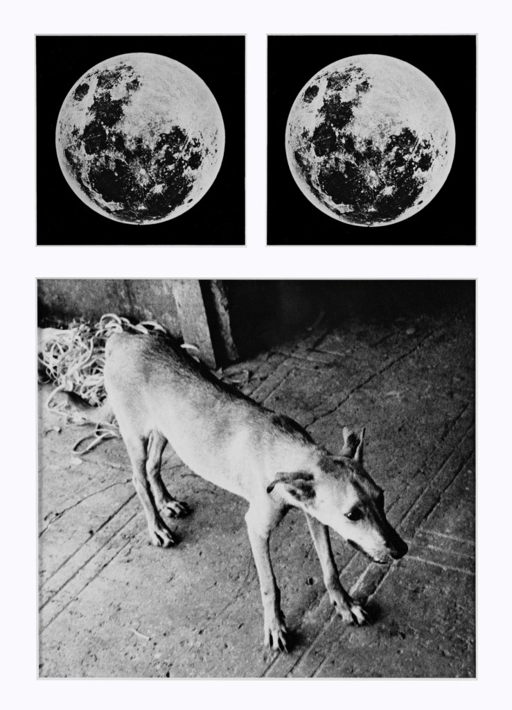 David Wojnarowicz (American, 1954-1992) 'Fever' 1988-1989