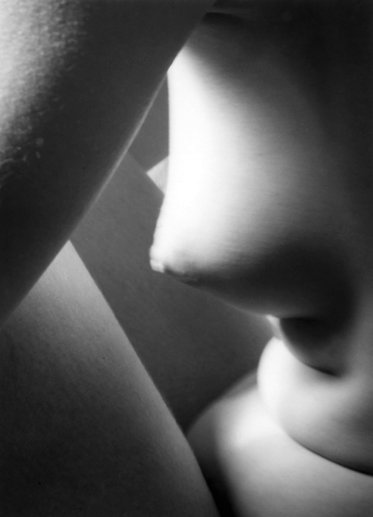 Imogen Cunningham (American, 1883-1976) 'Triangles' 1928 Imogen Cunningham (American, 1883-1976) 'Triangles' 1928