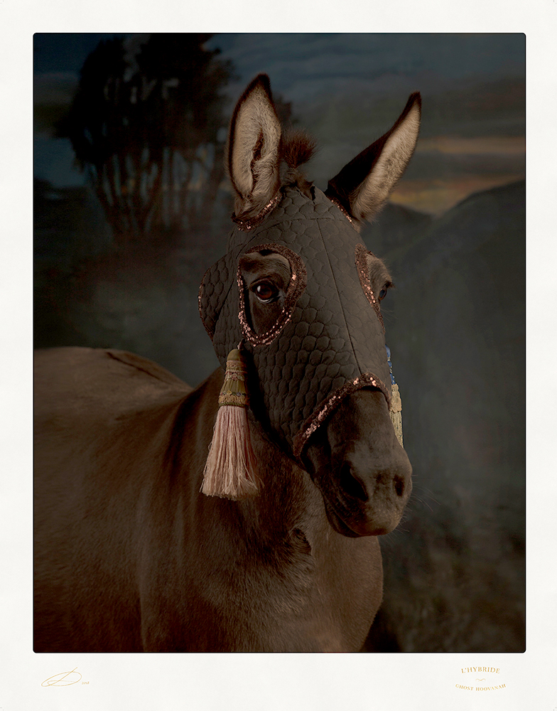 Jacqui Stockdale (Australian, b. 1968) 'The L'hybride' 2018