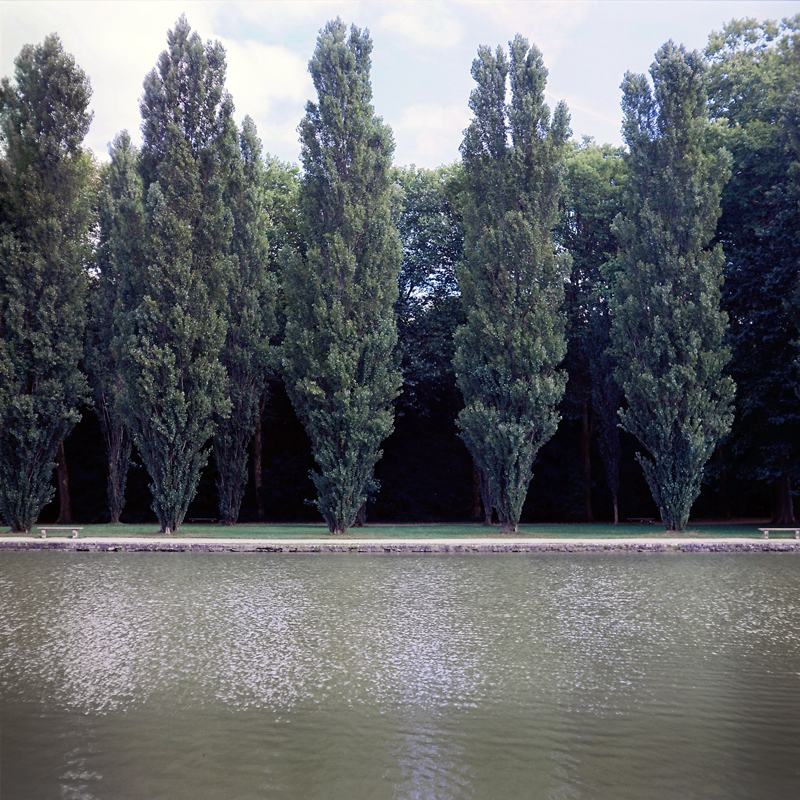 Marcus Bunyan (Australian, b. 1958) 'Parc de Sceaux' from the series 'Paris in film' 2018