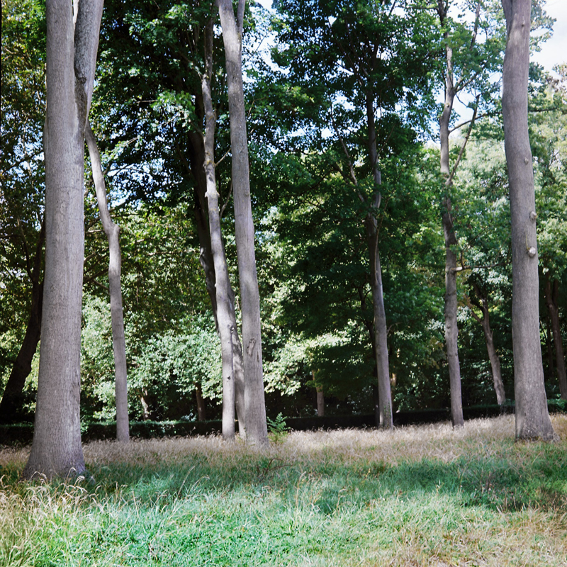 Marcus Bunyan (Australian, b. 1958) 'Parc de Sceaux' from the series 'Paris in film' 2018