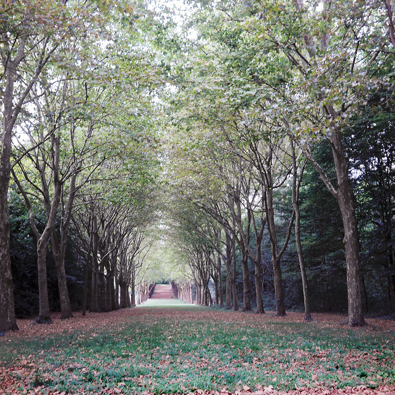 Marcus Bunyan (Australian, b. 1958) 'Parc de Sceaux' from the series 'Paris in film' 2018