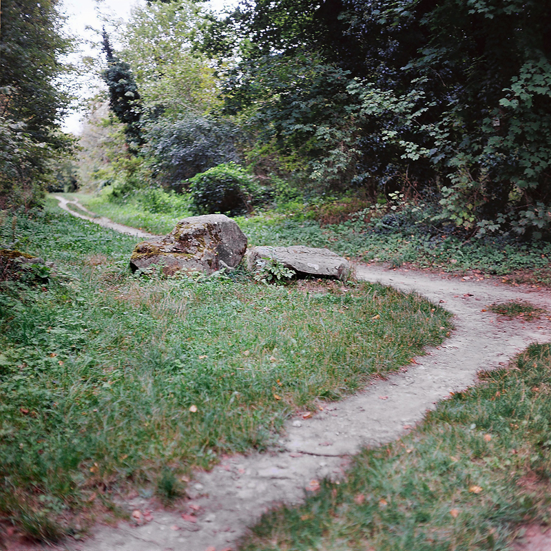 Marcus Bunyan (Australian, b. 1958) 'Fontainebleau' from the series 'Paris in film' 2018