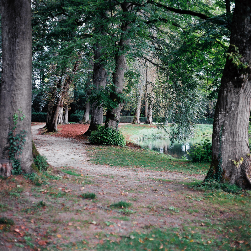 Marcus Bunyan (Australian, b. 1958) 'Fontainebleau' from the series 'Paris in film' 2018