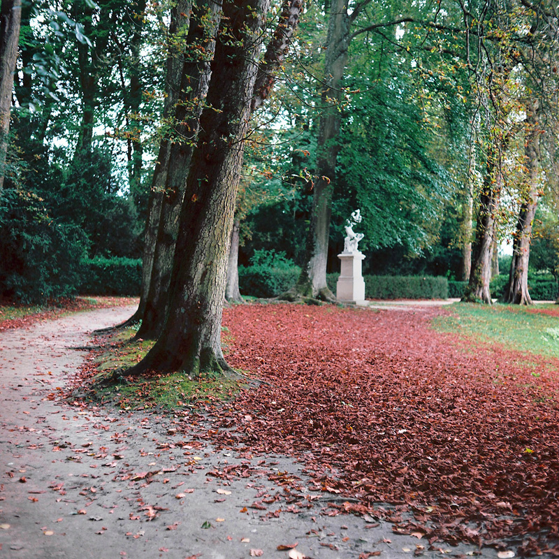 Marcus Bunyan (Australian, b. 1958) 'Fontainebleau' from the series 'Paris in film' 2018