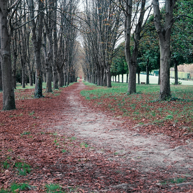 Marcus Bunyan (Australian, b. 1958) 'Parc de Sceaux' from the series 'Paris in film' 2018
