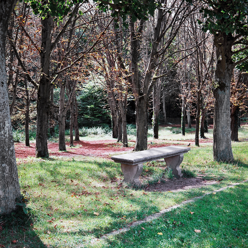 Marcus Bunyan (Australian, b. 1958) 'Parc de Sceaux' from the series 'Paris in film' 2018