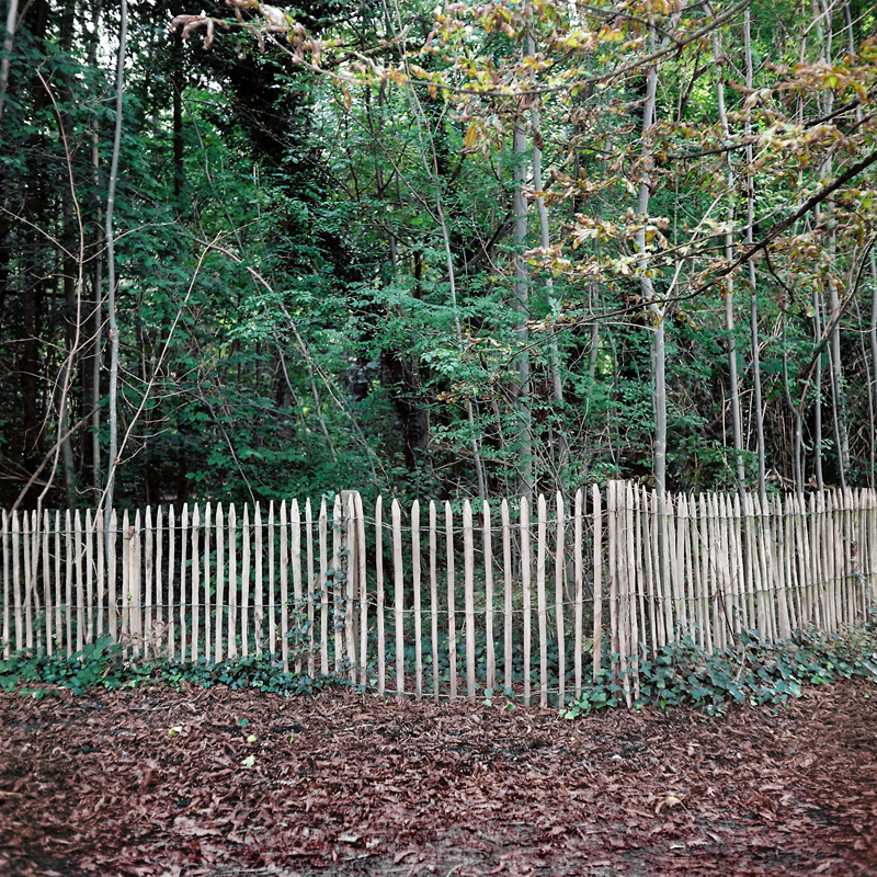 Marcus Bunyan (Australian, b. 1958) 'Parc de Sceaux' from the series 'Paris in film' 2018