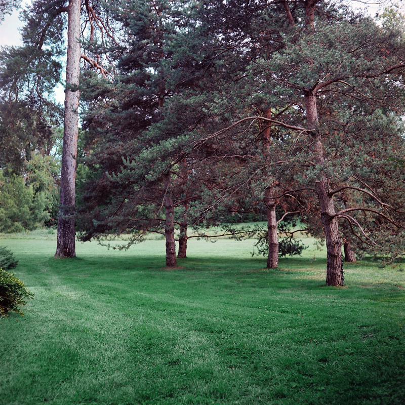 Marcus Bunyan. 'Parc de Sceaux' from the series 'Paris in film' 2018
