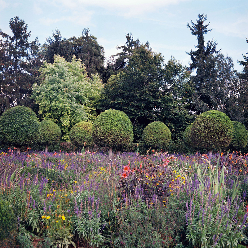 Marcus Bunyan. 'Parc de Sceaux' from the series 'Paris in film' 2018