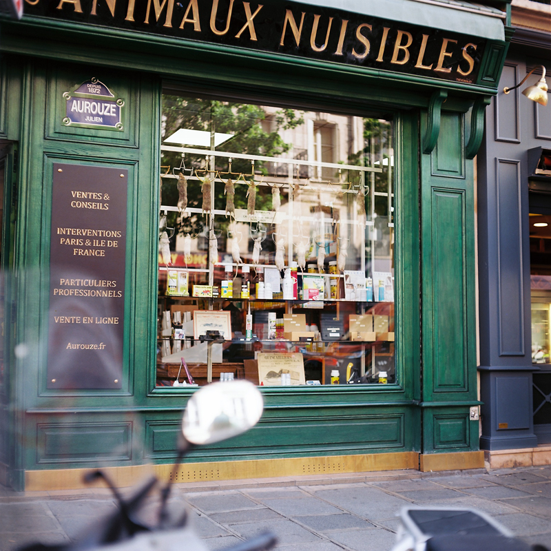 Marcus Bunyan (Australian, b. 1958) 'Animaux Nuisibles' from the series 'Paris in film' 2018