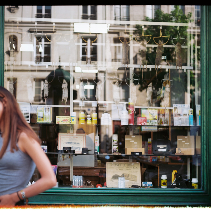 Marcus Bunyan (Australian, b. 1958) 'Animaux Nuisibles' from the series 'Paris in film' 2018