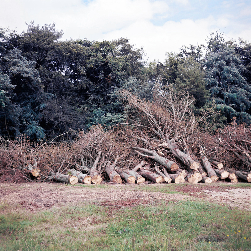 Marcus Bunyan (Australian, b. 1958) 'Parc de Sceaux' from the series 'Paris in film' 2018