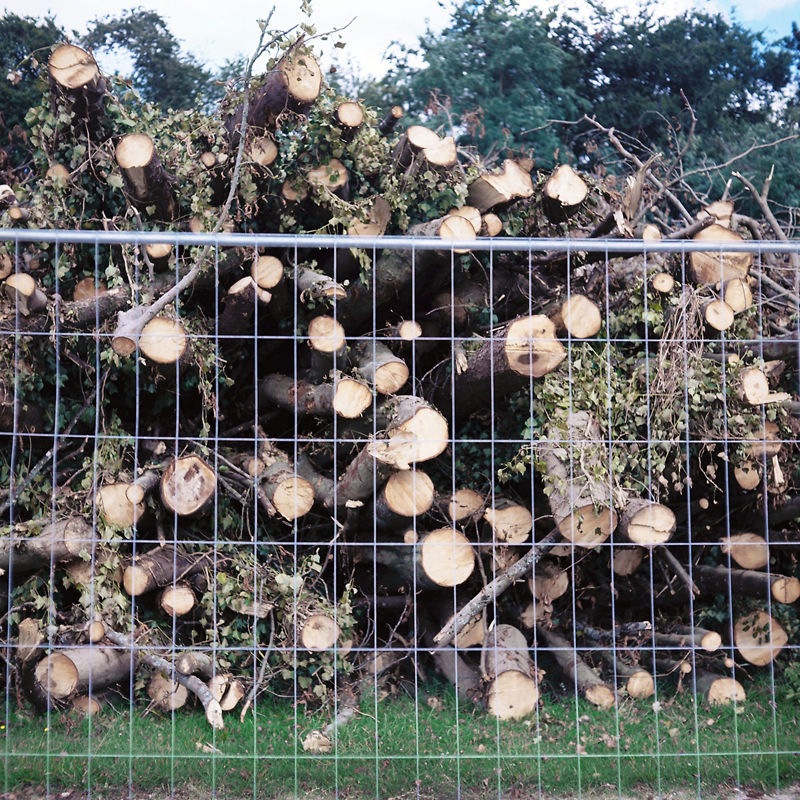 Marcus Bunyan (Australian, b. 1958) 'Parc de Sceaux' from the series 'Paris in film' 2018