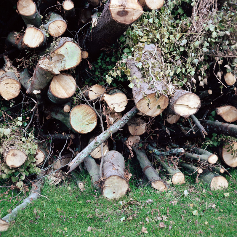 Marcus Bunyan (Australian, b. 1958) 'Parc de Sceaux' from the series 'Paris in film' 2018