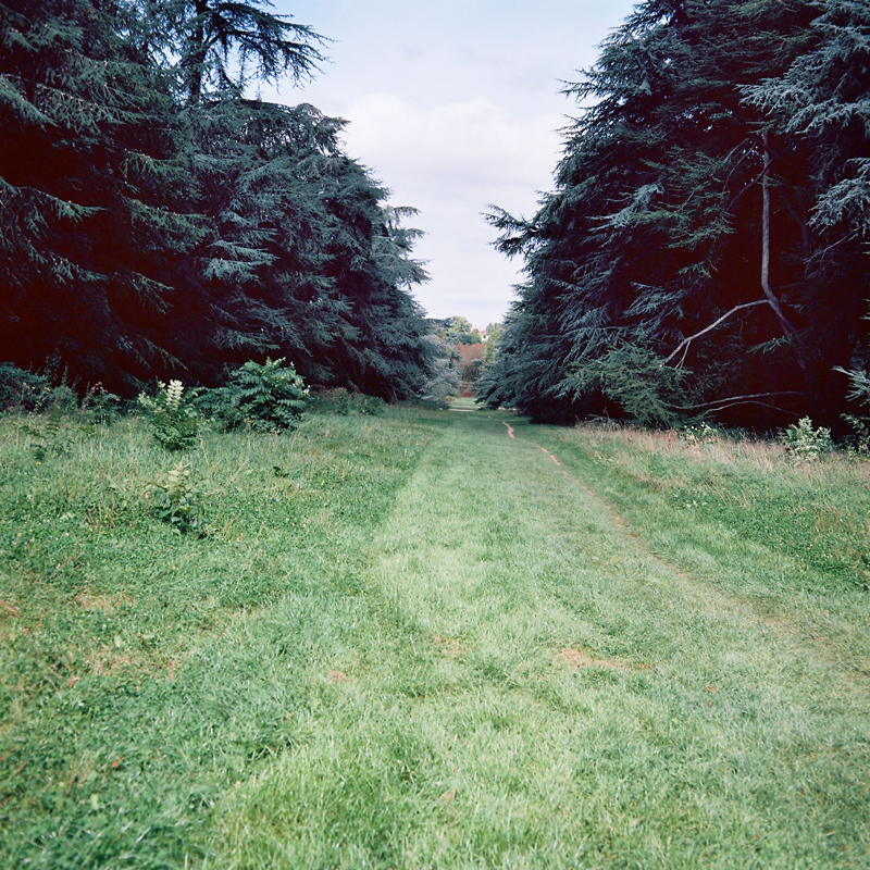 Marcus Bunyan (Australian, b. 1958) 'Parc de Sceaux' from the series 'Paris in film' 2018