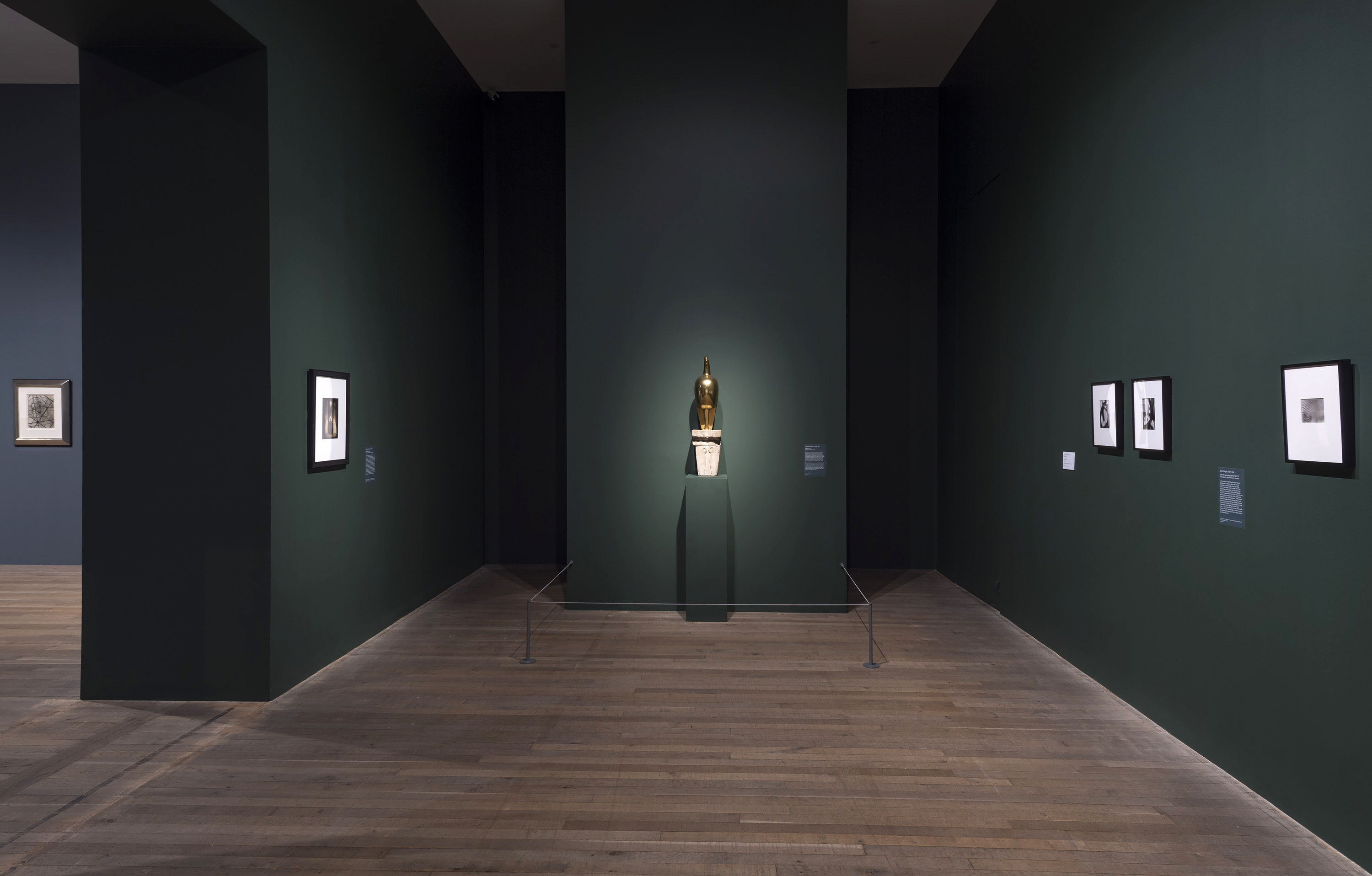 Installation view of the exhibition 'Shape of Light: 100 Years of Photography and Abstract Art' at Tate Modern, London showing at centre, Constantin Brancusi's bronze and stone sculpture 'Maiastra' (1911) Installation view of the exhibition 'Shape of Light: 100 Years of Photography and Abstract Art' at Tate Modern, London showing at centre, Constantin Brancusi's bronze and stone sculpture 'Maiastra' (1911)