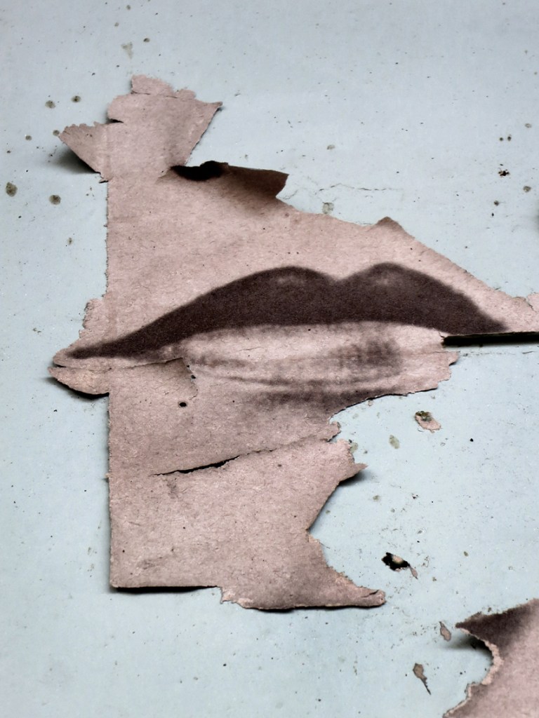 Petra Senn. 'Her Lips' 2015