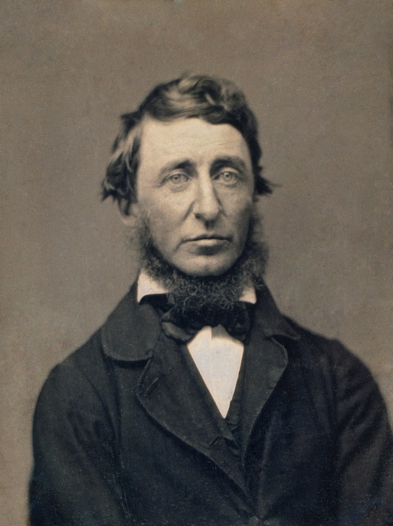 Benjamin D. Maxham (American, 1821-1899, active 1848-1858) 'Henry David Thoreau' 1856 (detail)