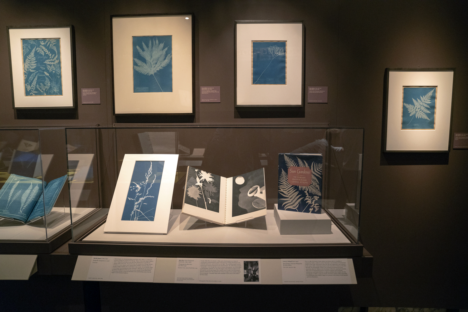 Installation view of the exhibition 'Blue Prints: The Pioneering Photographs of Anna Atkins' at The New York Public Library Installation view of the exhibition 'Blue Prints: The Pioneering Photographs of Anna Atkins' at The New York Public Library