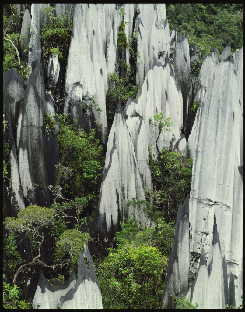 Peter Dombrovskis (Australian born Germany, 1945-1996) 'Limestone pinnacles on Mount Api, Sarawak, Borneo' 1985