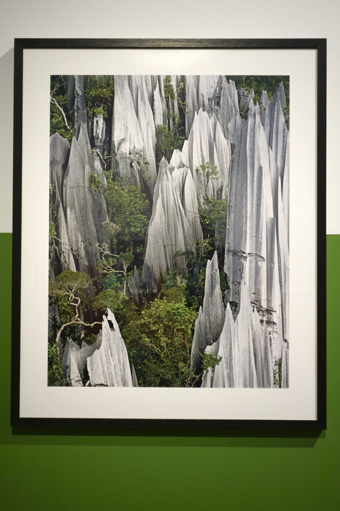 Installation view of the exhibition 'Dombrovskis: journeys into the wild' at Monash Gallery of Art, Wheelers Hill showing 'Limestone pinnacles on Mount Api, Sarawak, Borneo' (1985)