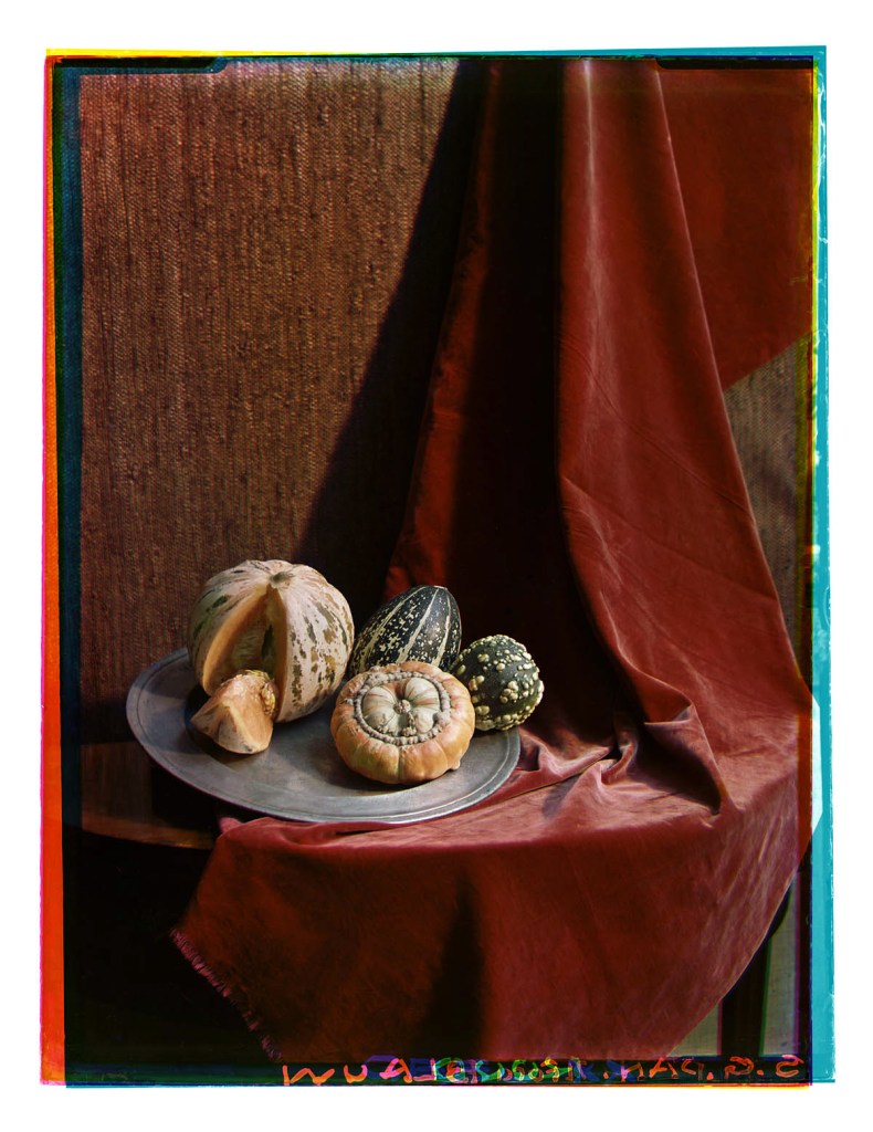 Bernard F. Eilers (Dutch, 1878-1951) 'Stilleven met sierfruit op een tinnen bord' (Still life with ornamental fruit on a tin plate) 1920/1935