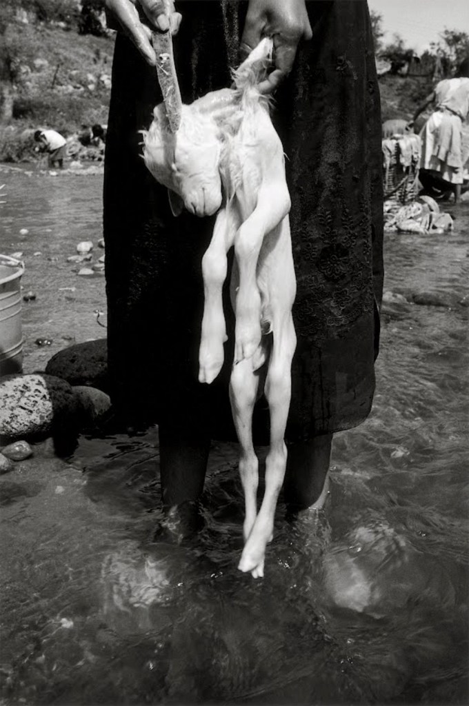 Graciela Iturbide (Mexican, b. 1942) 'The Sacrifice, La Mixteca, Oaxaca' (El sacrificio, la Mixteca, Oaxaca) 1992