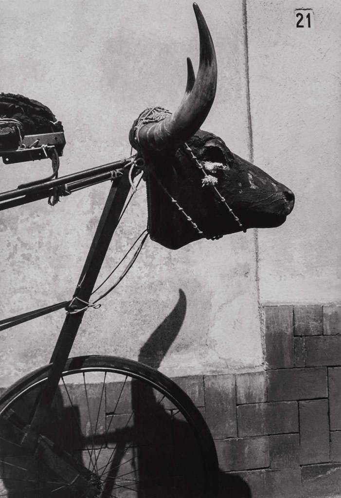 Graciela Iturbide (Mexican, b. 1942) 'Torito' (Little Bull) 1982