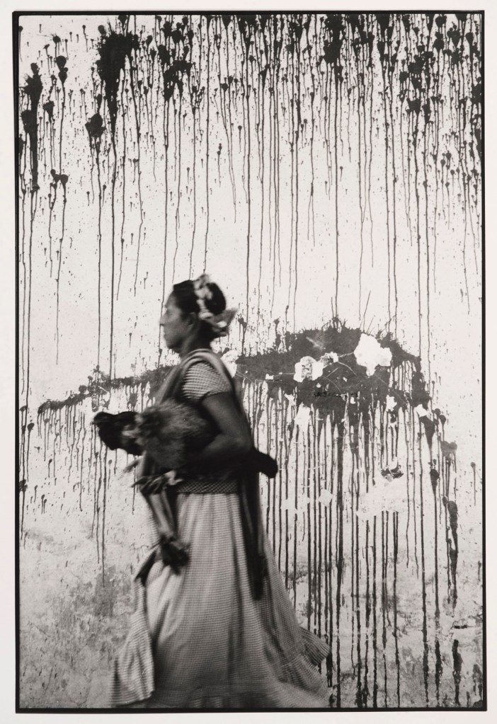Graciela Iturbide (Mexican, b. 1942) 'Los Pollos, Juchitán, México' (Chickens, Juchitán, Mexico) 1979