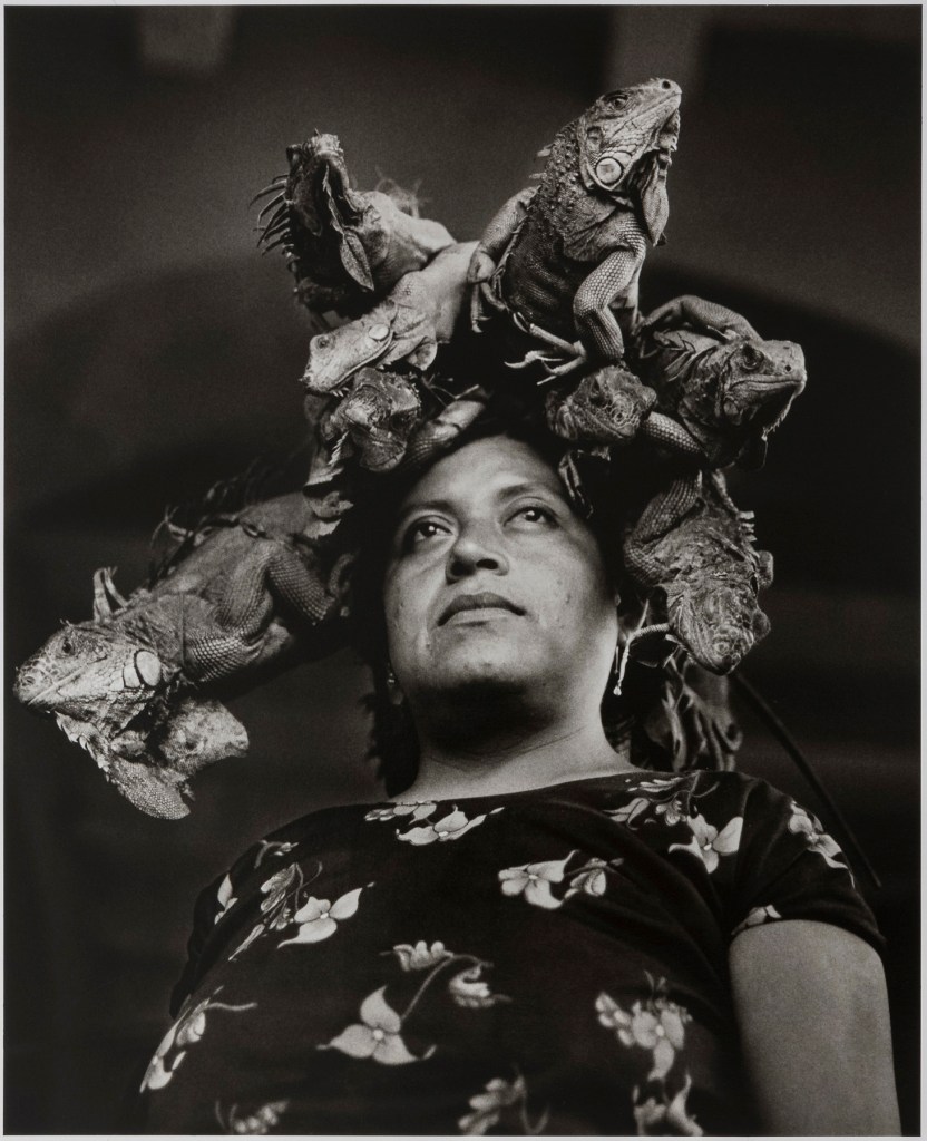 Graciela Iturbide (Mexican, b. 1942) 'Nuestra Señora de las Iguanas, Juchitán, México' (Our Lady of the Iguanas, Juchitán, Mexico) 1979