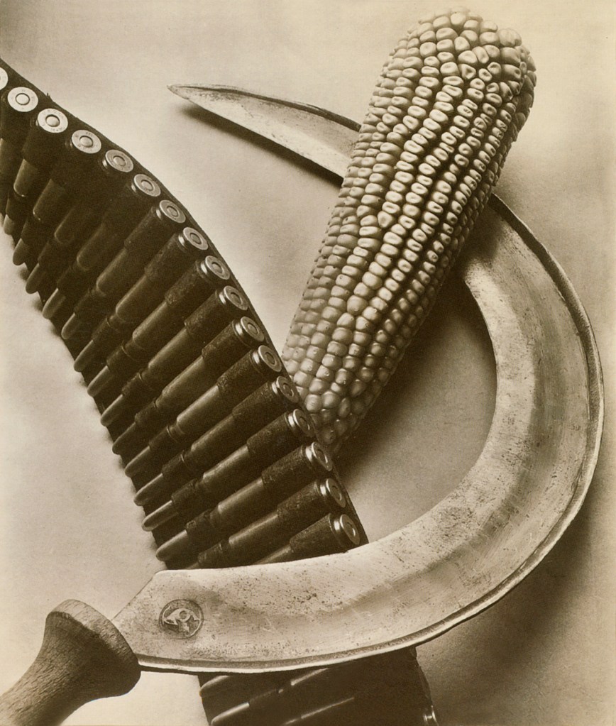 Tina Modotti (Italian, 1896-1942) 'Bandolier, Corn, Sickle' 1927