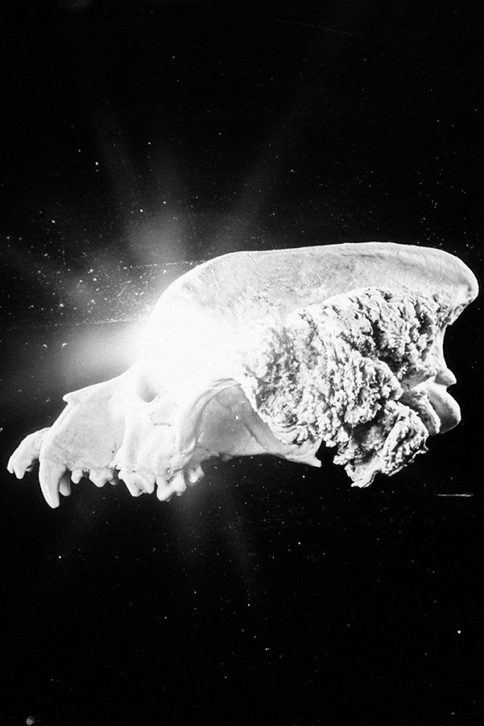 Sophie Gabrielle (Australian) 'Worry For The Fruit The Birds Won't Eat' 2017-2019