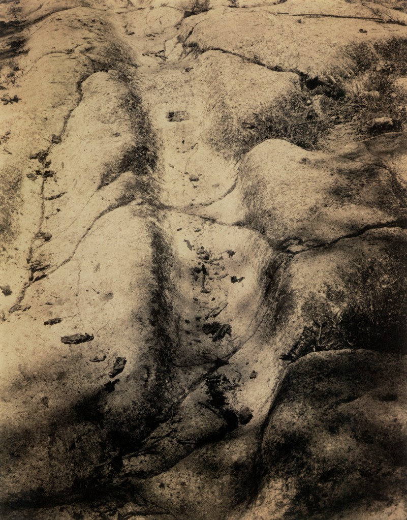Edward Weston (American, 1886-1958) 'Guadalajara, Barranca de los Oblatos: Rocky Trail' 1925