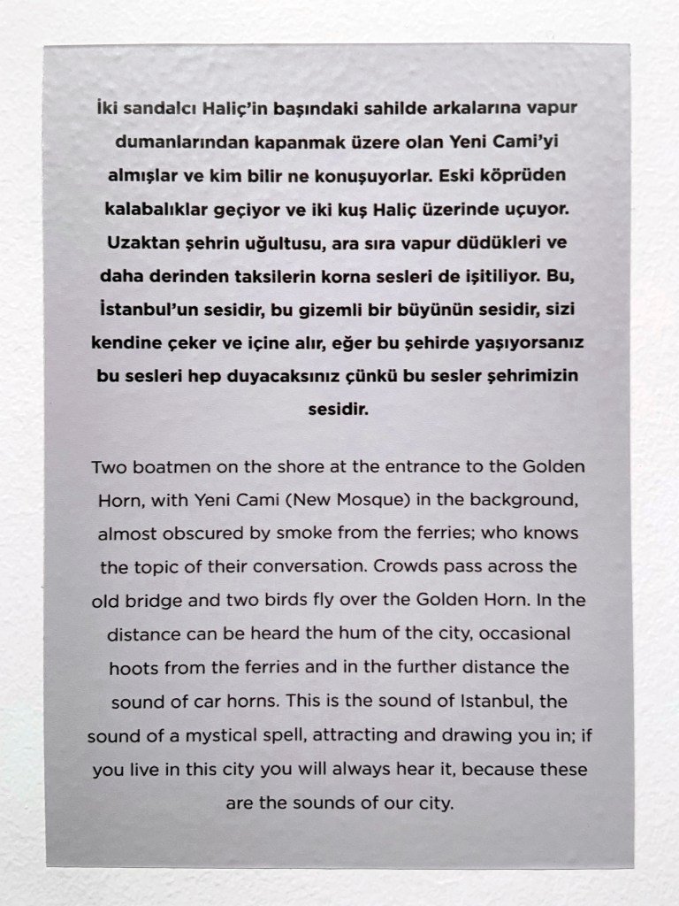 Wall text from the exhibition 'Ara Güler: Two Archives, One Selection: Tracing Ara Güler's Footsteps in Istanbul' at the Istanbul Museum of Modern Art