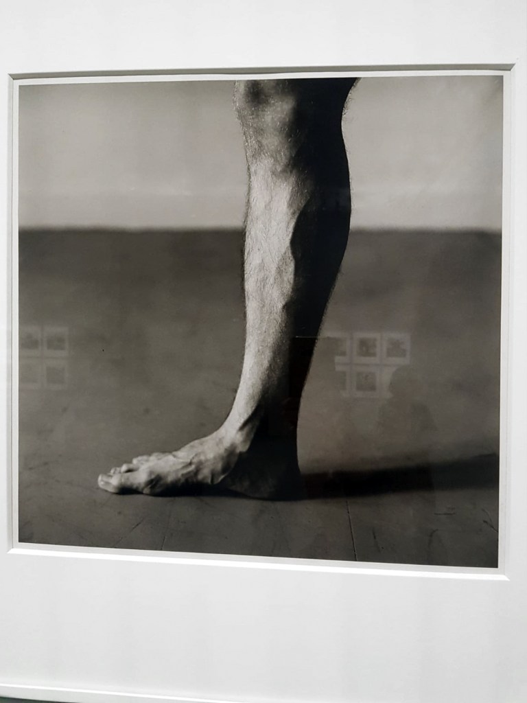 Peter Hujar (American, 1934-1987) 'Paul Hudson (Leg)' 1979 (installation view)