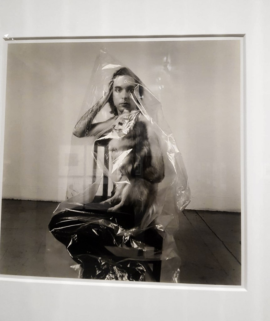 Peter Hujar (American, 1934-1987) 'Beauregard Under Plastic (1)' 1966 (installation view)