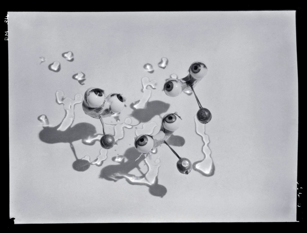 Untitled Shell Hand Dora Maar Hand-ShellArt Blart _ art and cultural memory archive