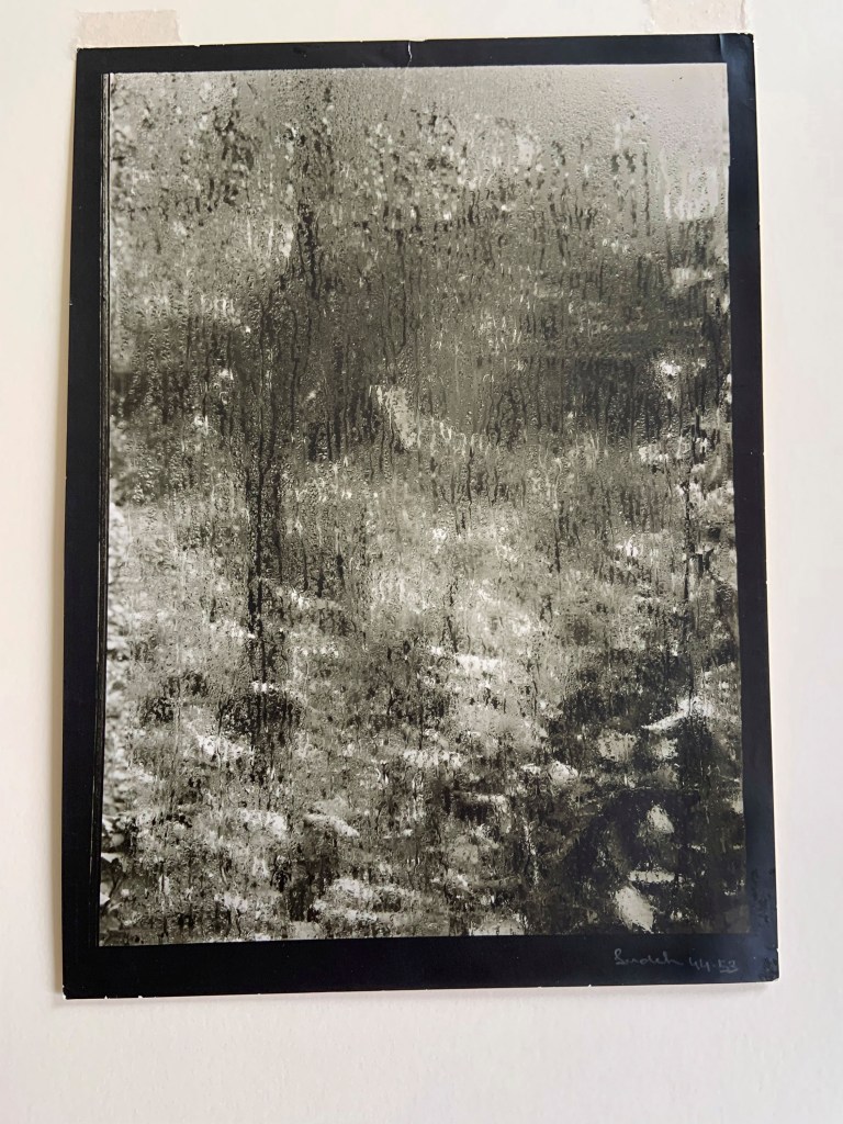 Josef Sudek (Czech, 1896-1976) 'The Window of My Studio, Prague' 1944-1953