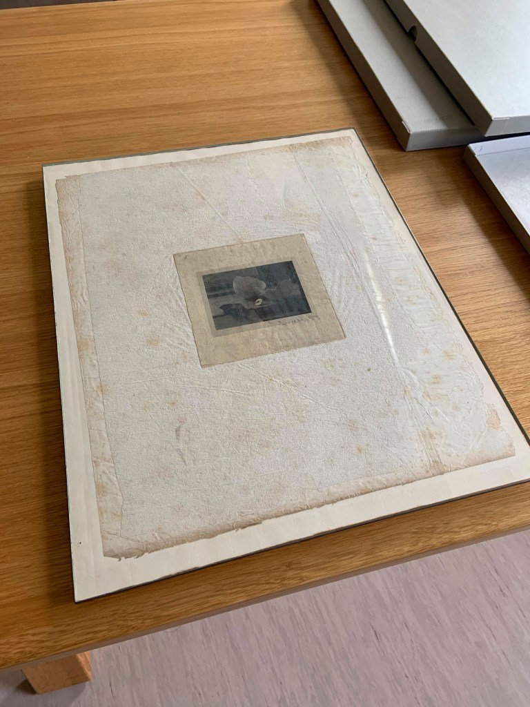 Josef Sudek (Czech, 1896-1976) 'Untitled' 1953