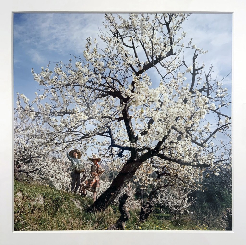 Jacques Henri Lartigue (French, 1894-1986) 'Florette and Stéphanie' Opio, France, Spring 1964 (installation view)