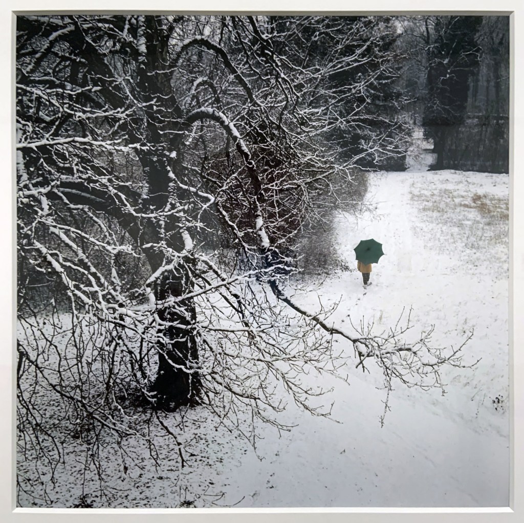 Jacques Henri Lartigue (French, 1894-1986) 'Florette' 1964 (installation view)