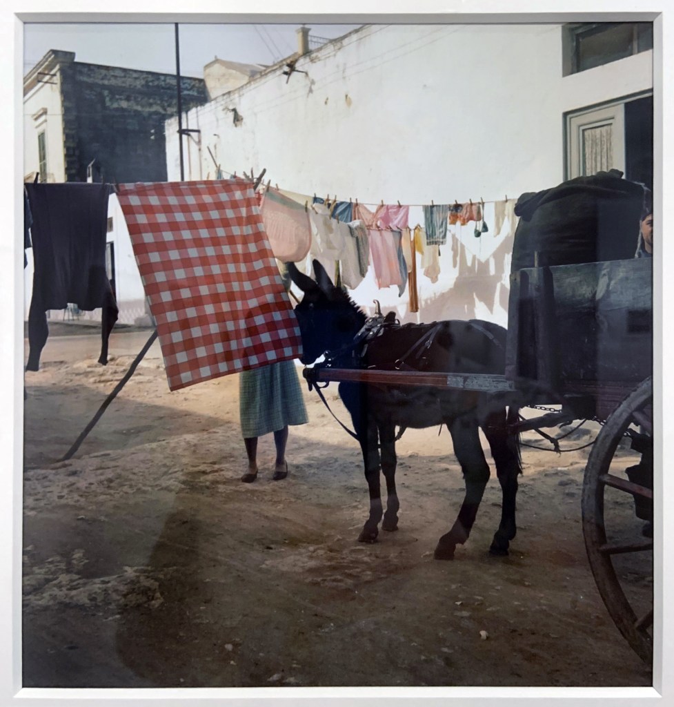 Jacques Henri Lartigue (French, 1894-1986) 'Manfredonia, Italy, February 1958' (installation view)